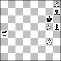 7B/7b/6k1/6Pp/R7/6K1/8/8